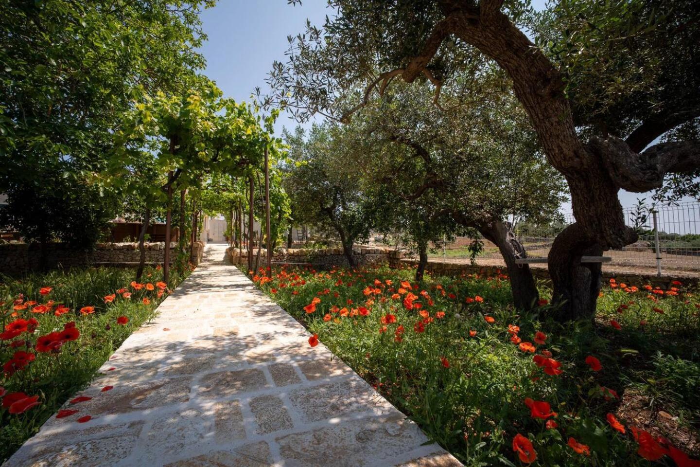 Valle D'Itria Trulli E Alcova Mikael Чистернино Екстериор снимка
